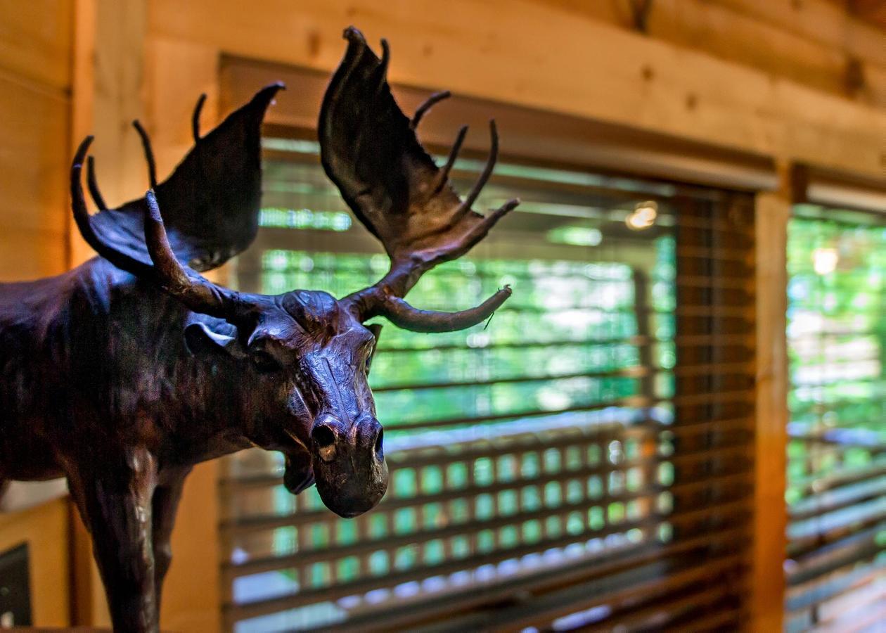 Bearfoot Inn #35 Sevierville Exteriér fotografie